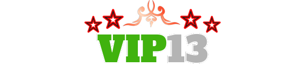 Logo Vip13